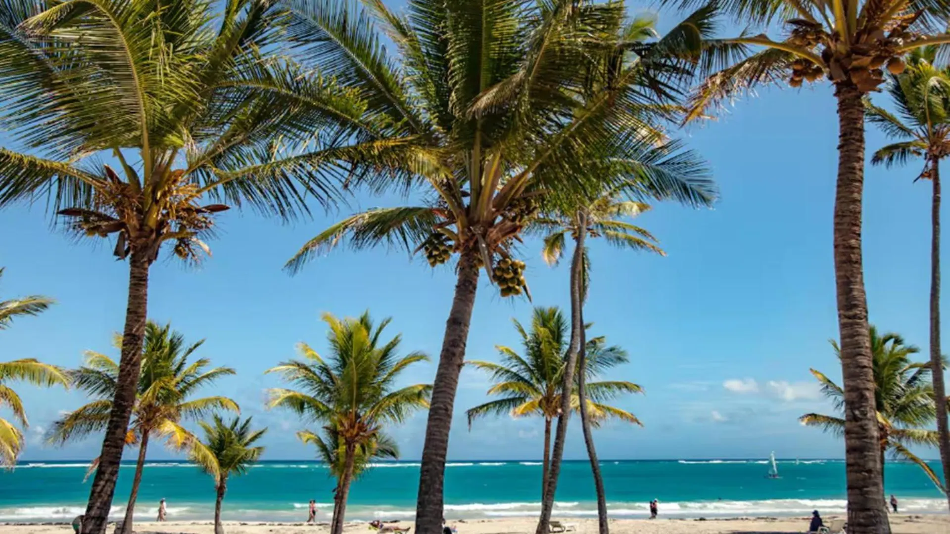 Penthouse Con Picuzzi Privado Y Barbacoa En Bavaro 蓬塔卡纳 0*,  多米尼加共和国
